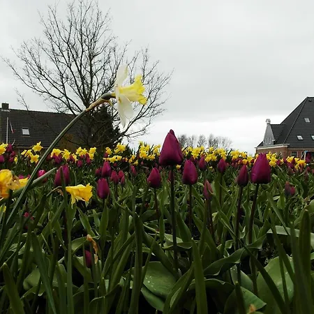 Alojamento de Acomodação e Pequeno-almoço Zonneweelde Oosthuizen